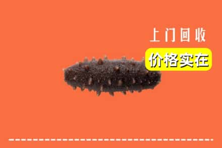 重庆市开州回收海参