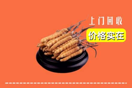 重庆市开州回收冬虫夏草